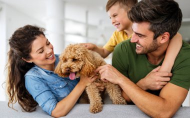 Mutlu bir aile oyunu, evde köpekle eğlenmek.