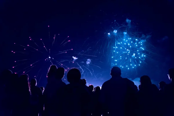 Folle Guardare Fuochi Artificio Festeggiare Nuovo Anno — Foto Stock