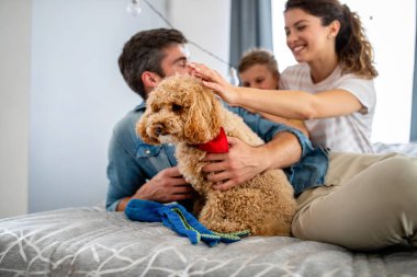 Mutlu, dost canlısı bir aile birlikte eğleniyor ve evde köpeklerine sarılıyor.