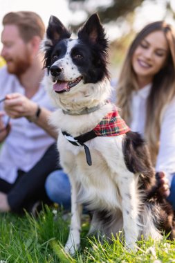 Parktaki köpeğe aşık mutlu bir çift.