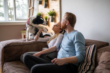 Mutlu genç çift oynuyor, evde köpekle rahatlıyor.