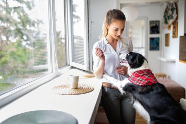 Güzel, mutlu bir kadın evde köpeğiyle oynuyor.