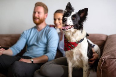 Güzel bir çift evde rahatlıyor ve evcil hayvanlarını seviyor.