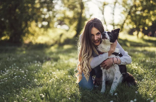 Schöne Frau Mit Verspieltem Jungen Hund Auf Frischer Grüner Wiese — Stockfoto