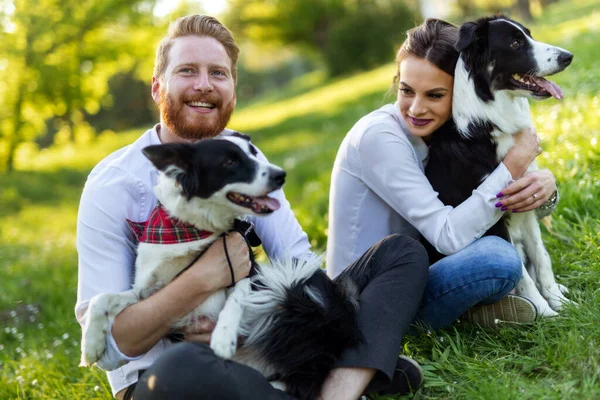 Casal Feliz Amor Brincando Com Cães Parque Livre — Fotografia de Stock