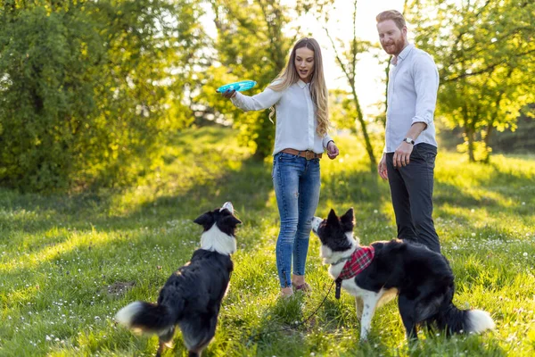 Feliz Joven Pareja Paseando Jugando Con Perros Parque Aire Libre —  Fotos de Stock