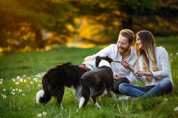 Young Couple Love Walking Enjoy Time Park Dogs Dog People — Stock Photo, Image