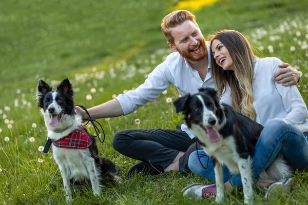 Romántica Pareja Feliz Amor Disfrutando Tiempo Con Mascotas Aire Libre —  Fotos de Stock