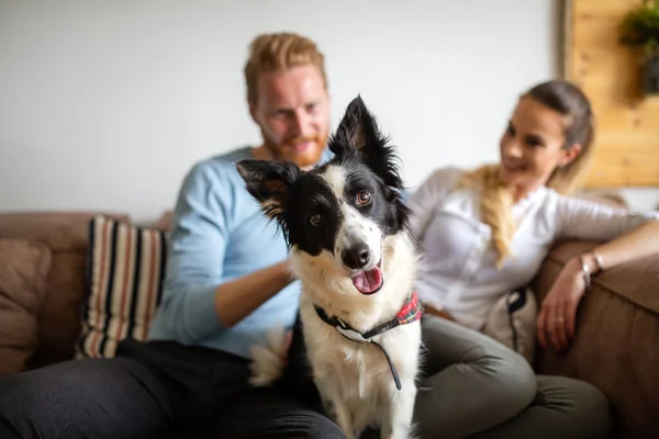 Mutlu Genç Çift Oynuyor Evde Köpekle Rahatlıyor — Stok fotoğraf