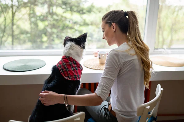 Güzel Mutlu Bir Kadın Evde Köpeğiyle Oynuyor — Stok fotoğraf