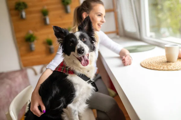 Красива Щаслива Жінка Грає Розслабляючись Своєю Собакою Вдома — стокове фото