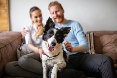 Güzel bir çift evde rahatlıyor ve evcil hayvanlarını seviyor.