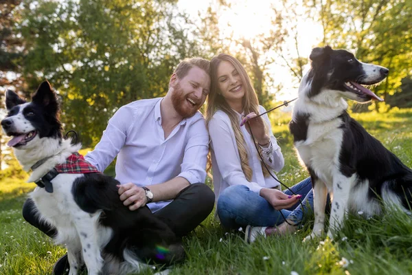 Щаслива Пара Грає Собакою Парку Відкритому Повітрі Люди Концепція Домашніх — стокове фото
