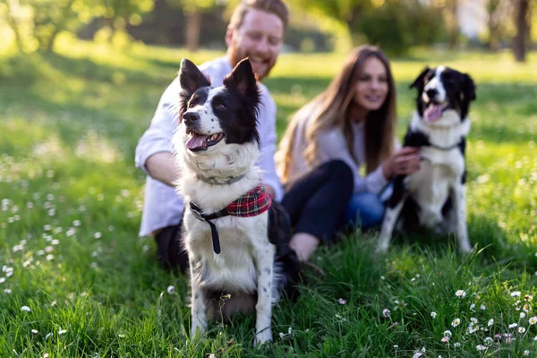 Feliz Joven Pareja Paseando Jugando Con Perros Parque Aire Libre —  Fotos de Stock