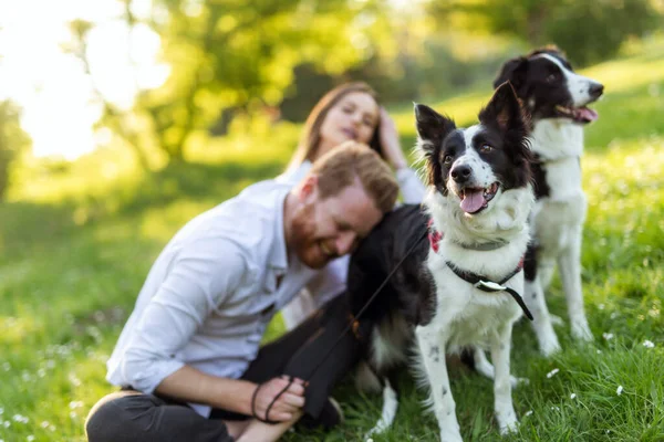 Joven Pareja Feliz Jugando Con Perros Divertirse Parque Aire Libre —  Fotos de Stock