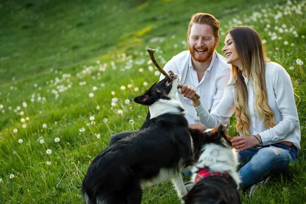 Pareja Jugando Con Sus Perros Parque Aire Libre —  Fotos de Stock