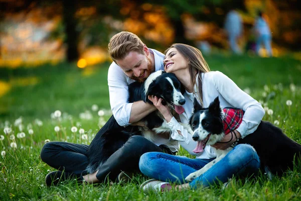 Glückliches Verliebtes Paar Spielt Mit Hunden Park — Stockfoto