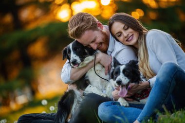 Mutlu genç çift, parkta köpeklerle oynuyorlar.