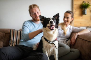 Güzel bir çift evde rahatlıyor ve evcil hayvanlarını seviyor.