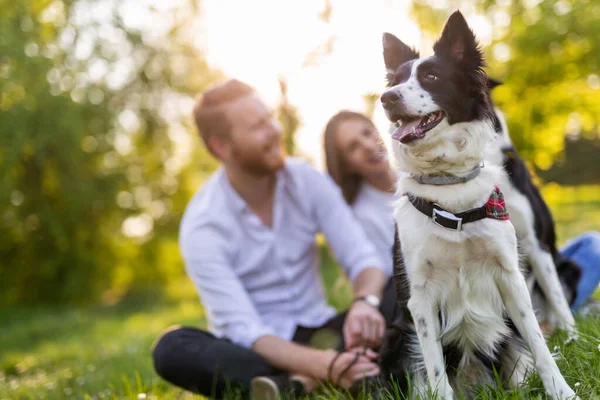 Молода Щаслива Пара Грає Собаками Розважається Парку Відкритому Повітрі — стокове фото
