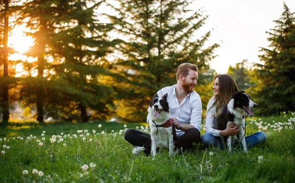 Feliz Joven Pareja Paseando Jugando Con Perros Parque Aire Libre —  Fotos de Stock