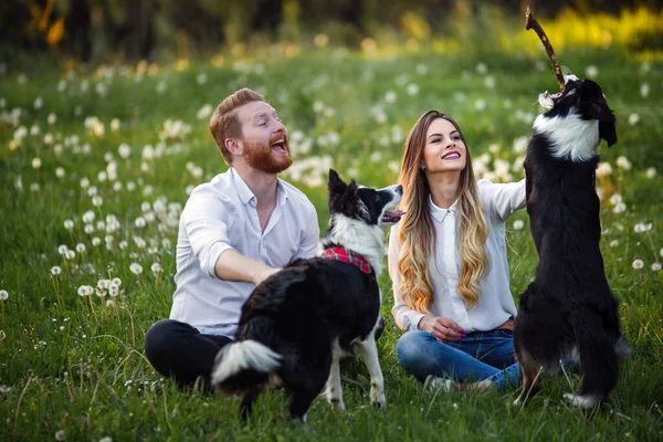 Feliz Pareja Enamorada Jugando Con Perros Parque Aire Libre —  Fotos de Stock