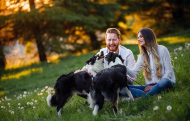 Mutlu genç çift, parkta köpeklerle oynuyorlar.