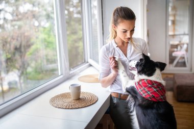 Evde köpeğiyle oynayan mutlu genç bir kadın. İnsanlar yaşam tarzı kavramını severler