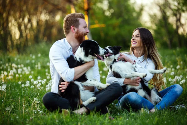 Щаслива Пара Закохана Гру Собаками Парку Відкритому Повітрі — стокове фото