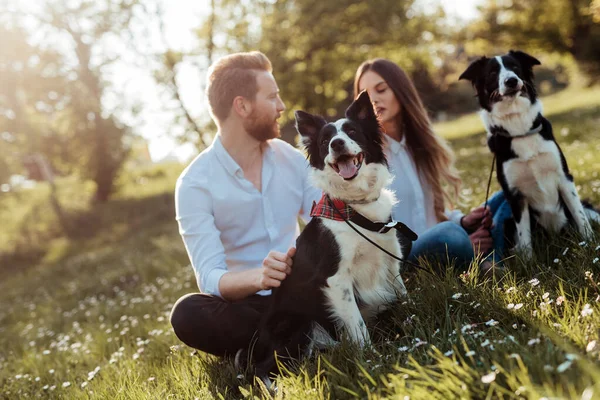 Glada Par Leker Med Hunden Parken Utomhus Människor Husdjur Koncept — Stockfoto