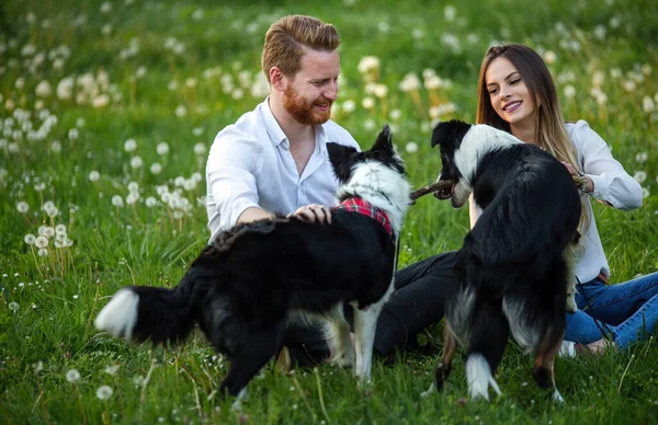 Feliz Joven Pareja Paseando Jugando Con Perros Parque Aire Libre —  Fotos de Stock