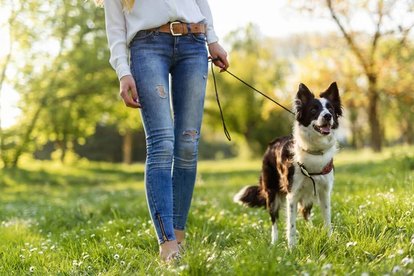 Beautiful Woman Walking Playing Cute Dog Nature Outdoor — Stock Photo, Image