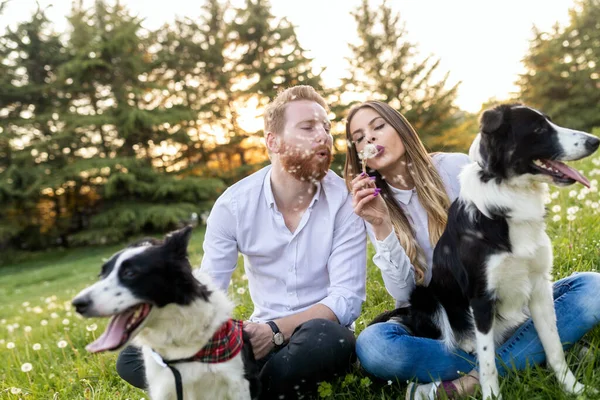 Romántica Pareja Feliz Amor Disfrutando Tiempo Con Mascotas Aire Libre —  Fotos de Stock