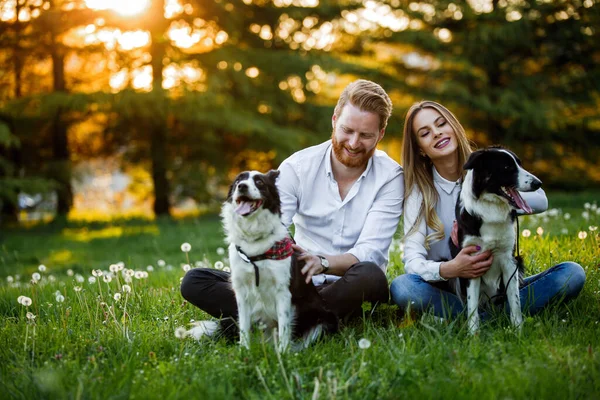 Unga Par Älskar Promenader Och Njuta Tid Parken Med Hundar — Stockfoto