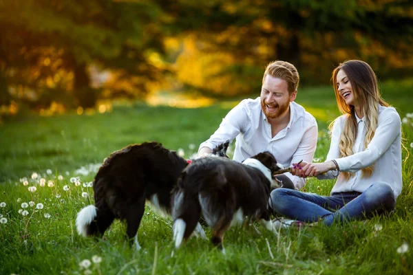 Pareja Jugando Con Sus Perros Parque Aire Libre —  Fotos de Stock