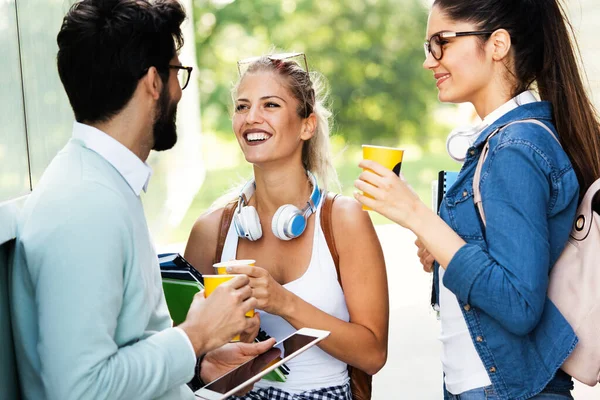 Grupo Estudiantes Universitarios Que Estudian Juntos Divierten Aire Libre — Foto de Stock