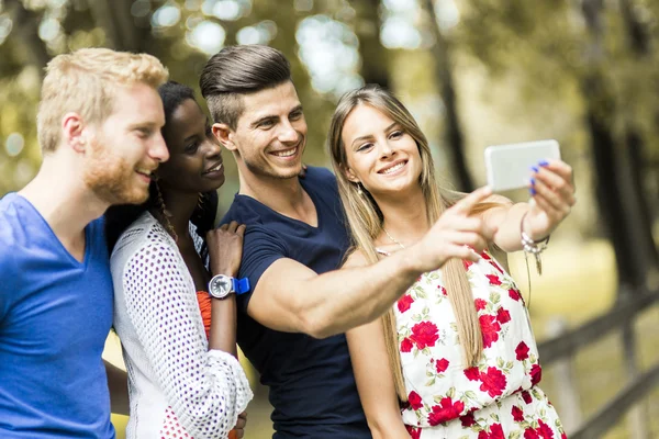 Groep van paren nemen selfies in de natuur — Stockfoto