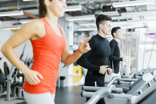 Grupo de personas que utilizan cintas de correr — Foto de Stock