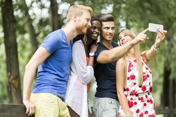 Grupo de casais tirando selfies na natureza — Fotografia de Stock