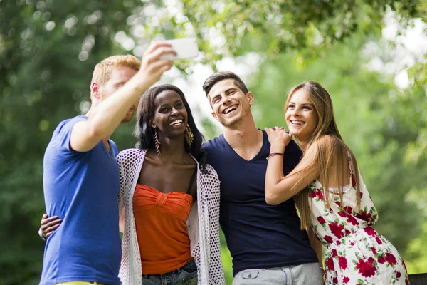 Grupo de parejas tomando selfies en la naturaleza — Foto de Stock