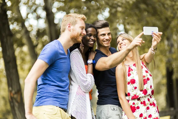 Group of couples taking selfies in nature — Stock Photo, Image