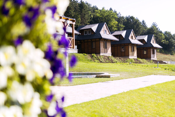 Деревянные коттеджи на природе
