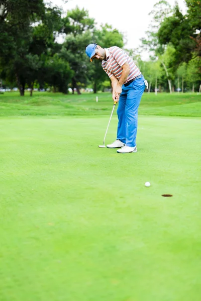 Golfista toma el tiro verde de poner —  Fotos de Stock