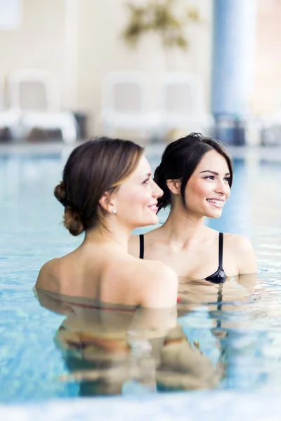 Beautiful women in a swimming pool — Stock Photo, Image