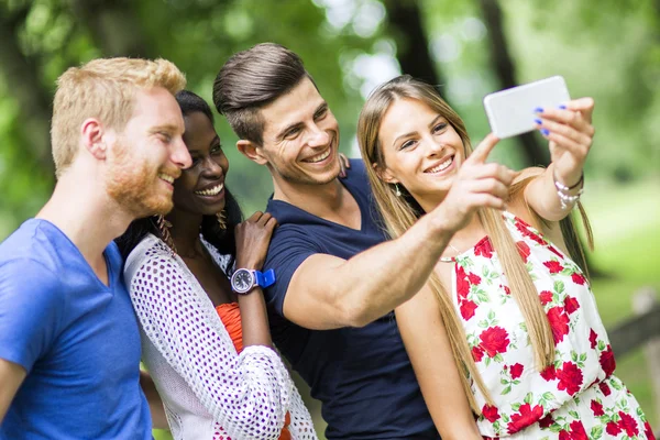 Gruppe von Paaren macht Selfies in der Natur — Stockfoto