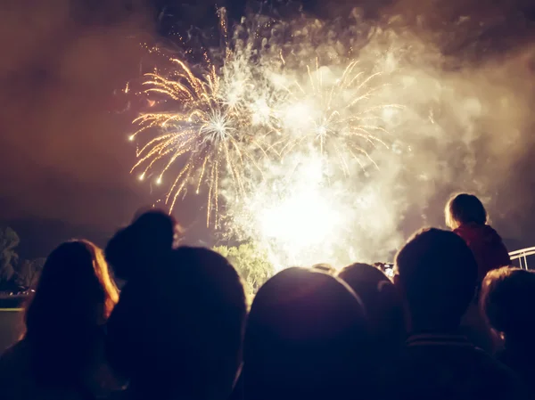 Multitud de fuegos artificiales — Foto de Stock