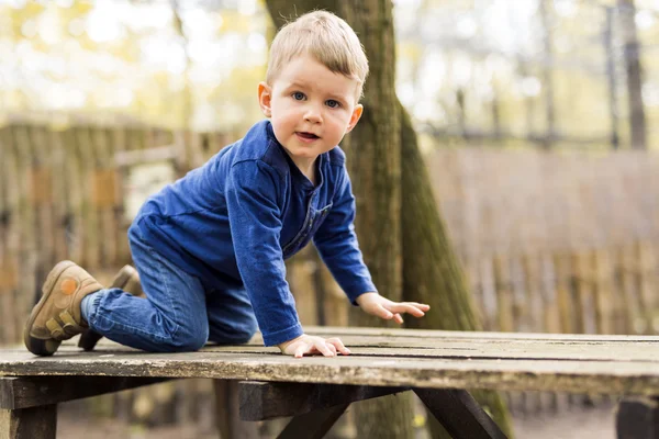 Ragazzino seduto su una panchina in un parco — Foto Stock