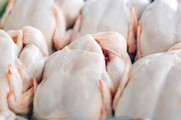 Producción de pollo fotos de stock, imágenes de Producción de pollo sin royalties | Depositphotos Producción de pollo fotos de stock, imágenes de Producción de pollo sin royalties | Depositphotos