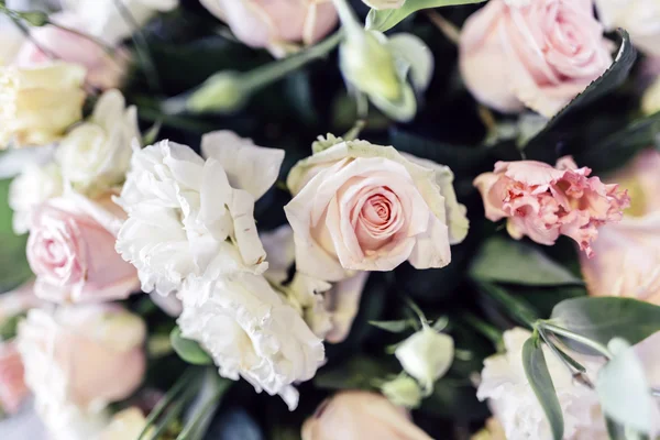 Gyönyörű fehér és rózsaszín rózsa — Stock Fotó