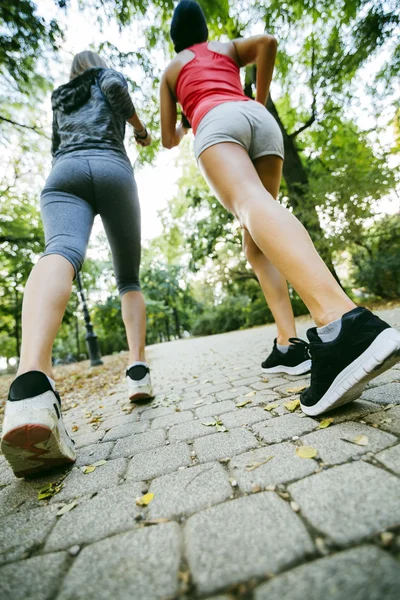 Спортивные женщины бегают в парке — стоковое фото